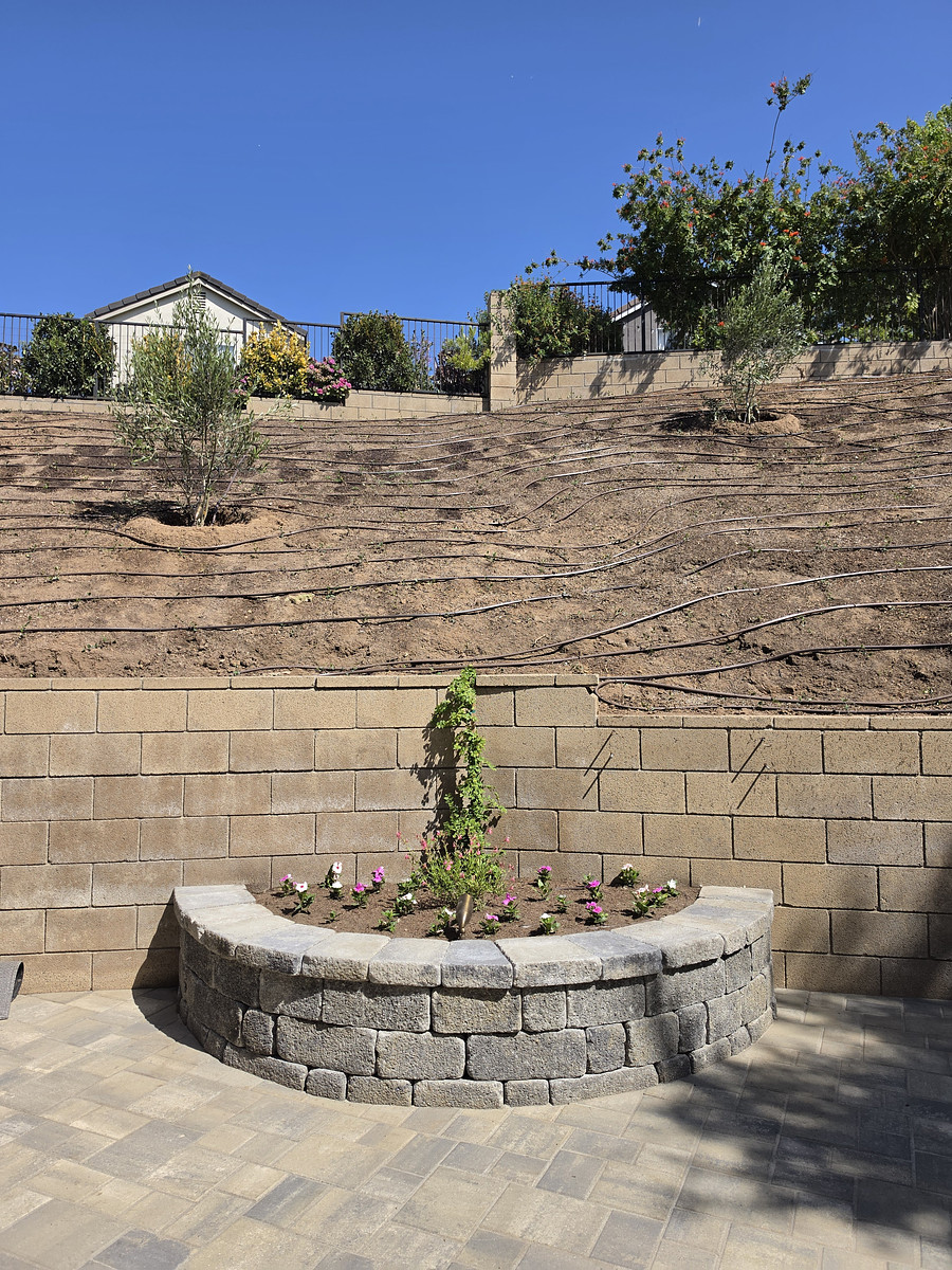 Circular stone-raised flower bed on a paved patio, with a small vine and blooming flowers, set against a terraced dirt slope and blue sky.