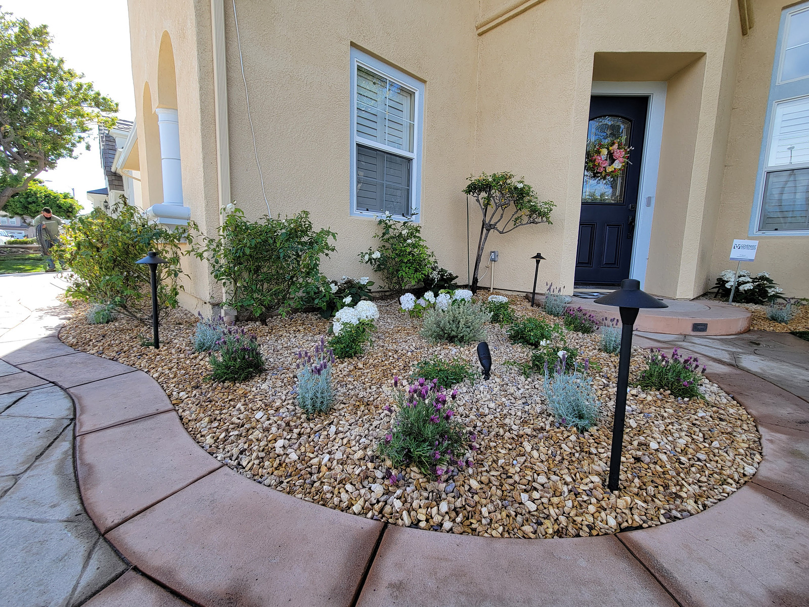 Curved concrete path around a pebble garden with white hydrangeas and lavender in front of a beige stucco house and dark front door with a wreath